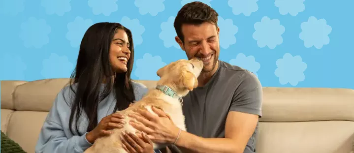 A happy couple playing with their puppy